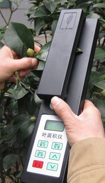 提货点BDIV34钟鼎式分样器