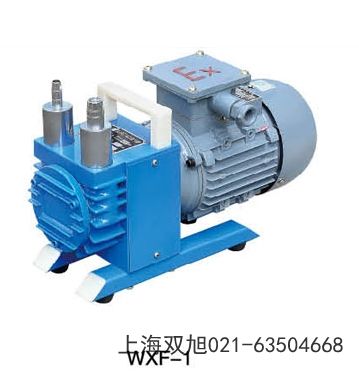 直联旋片式真空泵2XZ-0.25河北省秦皇岛市注意什么