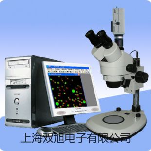 XQ-240440 二位四通单电控阀铜仁玉屏侗族自治销售