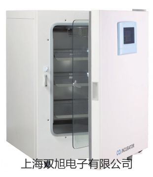 电子静水力学天平DSJ-2湖北襄阳宜城销售部