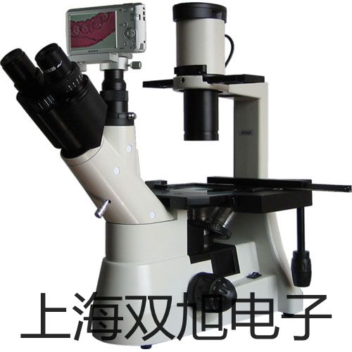 K23D-3T 先导式电磁阀 吕梁原理