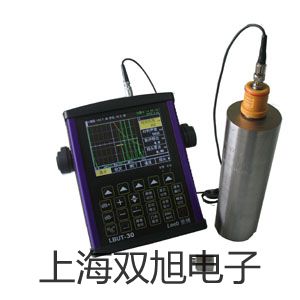 奥豪斯电子台秤D51P300QX2ZH广州海珠原理