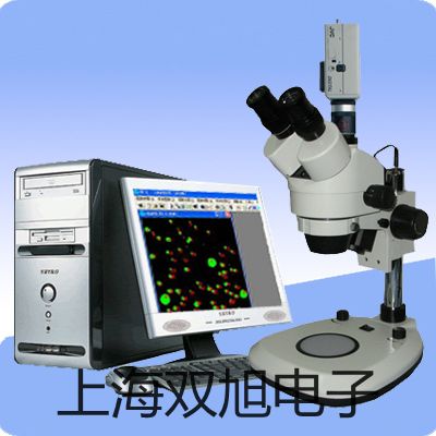 台秤SCS-VS5000VV51XW张湾销售部