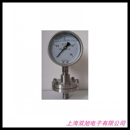 BLD卡子快装式卫生型隔膜表BRIGHTY布莱迪PTHN-98.AO.513-F6