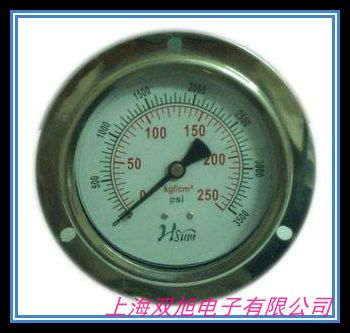 BLD卡子快装式卫生型隔膜表BRIGHTY布莱迪PTHN-98.AO.513-F6