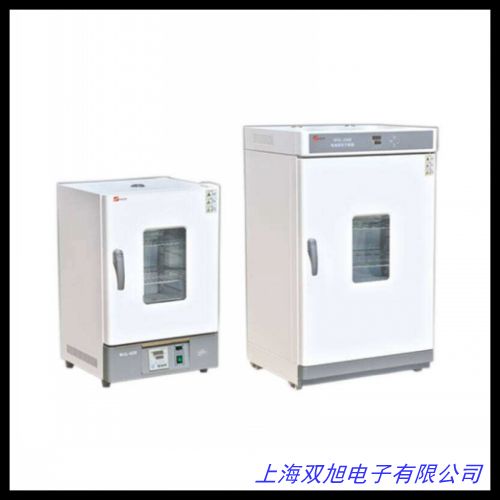 热风循环电热鼓风高温干燥箱 真空烘箱 工业烤箱 高温真空干燥箱